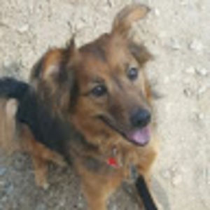 Meet your Posher, Lindsay